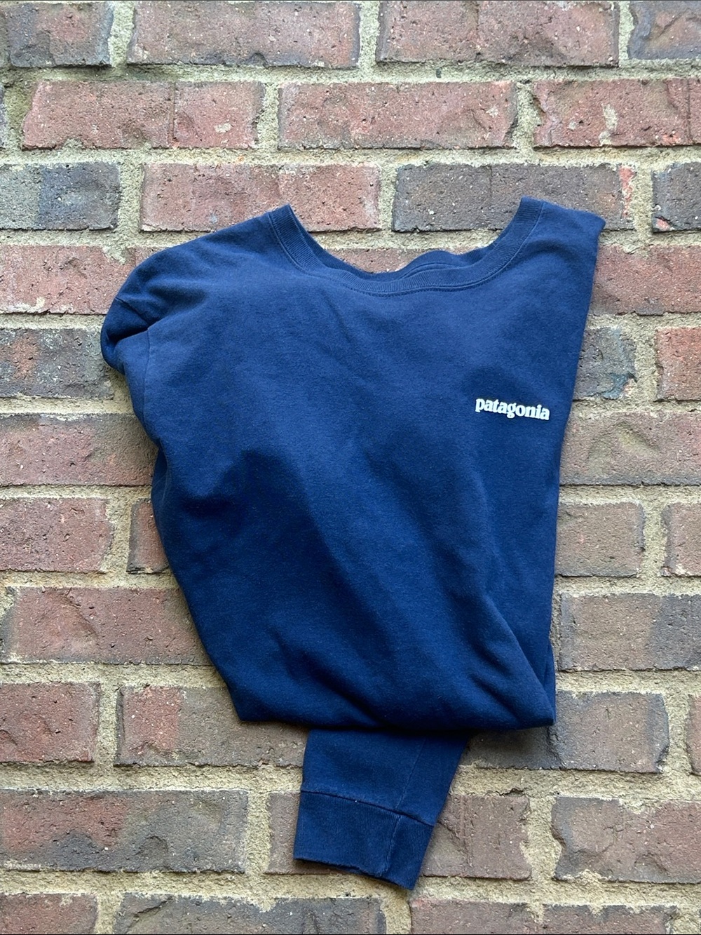 Patagonia long sleeve shirt